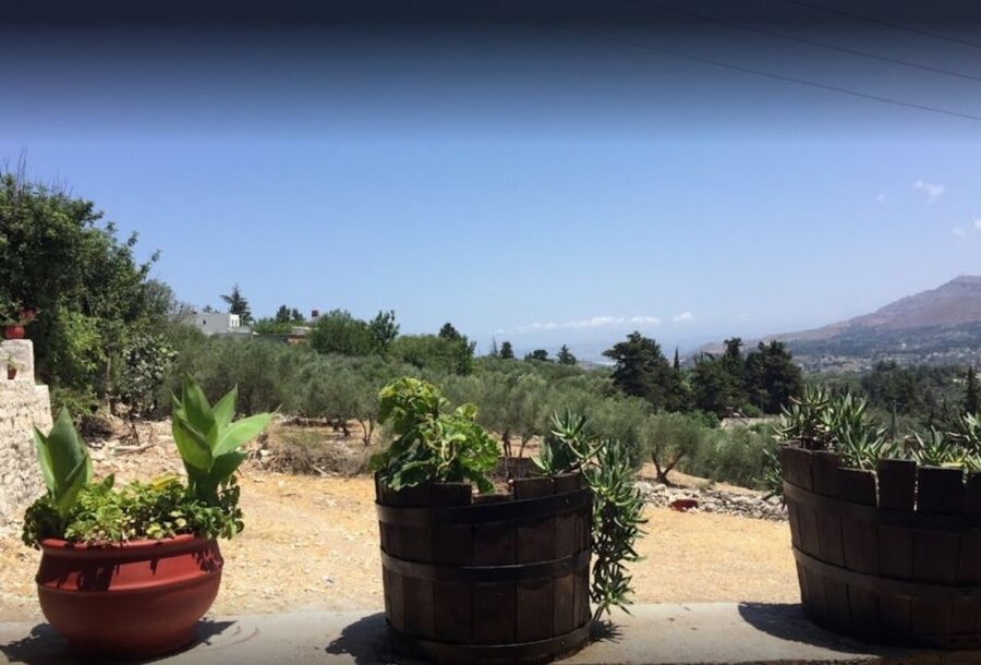 Rethymno: Private Winery & Olive Oil Tasting Tour with Lunch - At the Kanakis olive oil mill