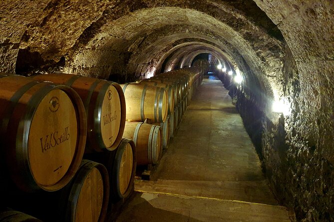 Ribera del Duero:4 Wineries, tasting & Lunch included from Madrid - A changing mix of Ribera del Duero wineries