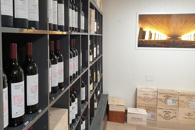 Ribera del Duero Underground Cellar & Wine Tasting Experience - How the 75 minutes are spent