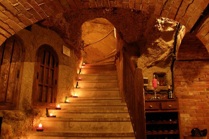 Ribera del Duero Underground Cellar & Wine Tasting Experience - Who will get the most from this cellar visit?