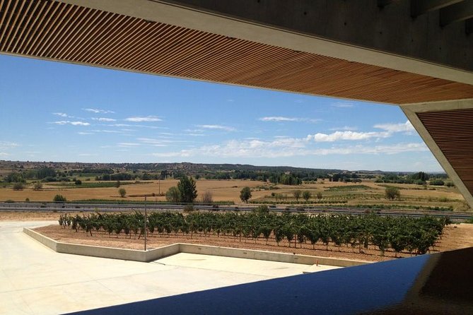 Ribera del Duero Wineries Guided Tour & Wine Tasting from Madrid - The underground cellar and the older side of wine country