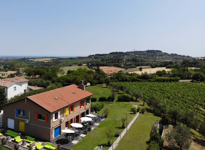 Rimini: San Valentino DOC Wine Tastings - From vineyard care to the cellar