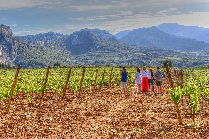 Rioja Like A Native Wine Tour - A full day built around how Rioja wine is made