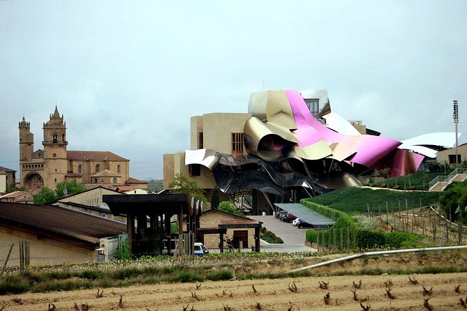 Rioja wine region with visit to winery & Vitoria-Gasteiz - Vitoria-Gasteiz in a short guided walk