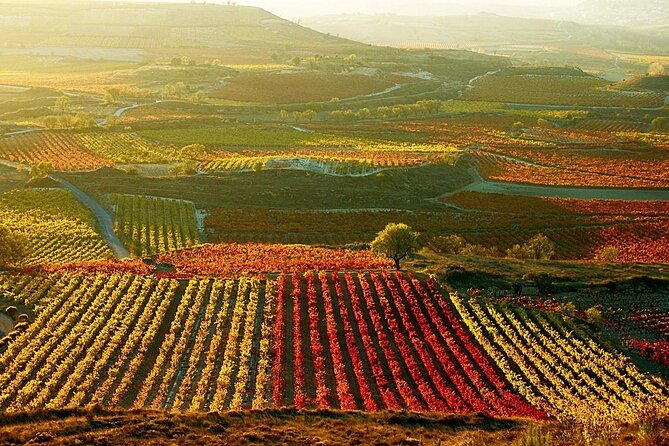 Rioja wine region with visit to winery & Vitoria-Gasteiz - The road from Bilbao to Rioja