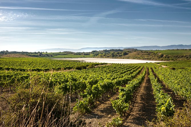 Rioja Wine Tour: 2 Wineries From Bilbao - From Bilbao to Rioja in an air-conditioned vehicle