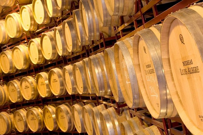 Rioja Wine Tour: 2 Wineries From Bilbao - The guides are a major part of the value