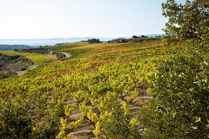 Rioja Wine Tour: 2 Wineries From Bilbao - Should you book it?