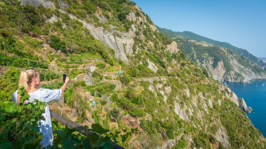 Riomaggiore: Vineyard & Wine Cellar Tour with Wine Tasting - A vineyard built on a cliff above Riomaggiore