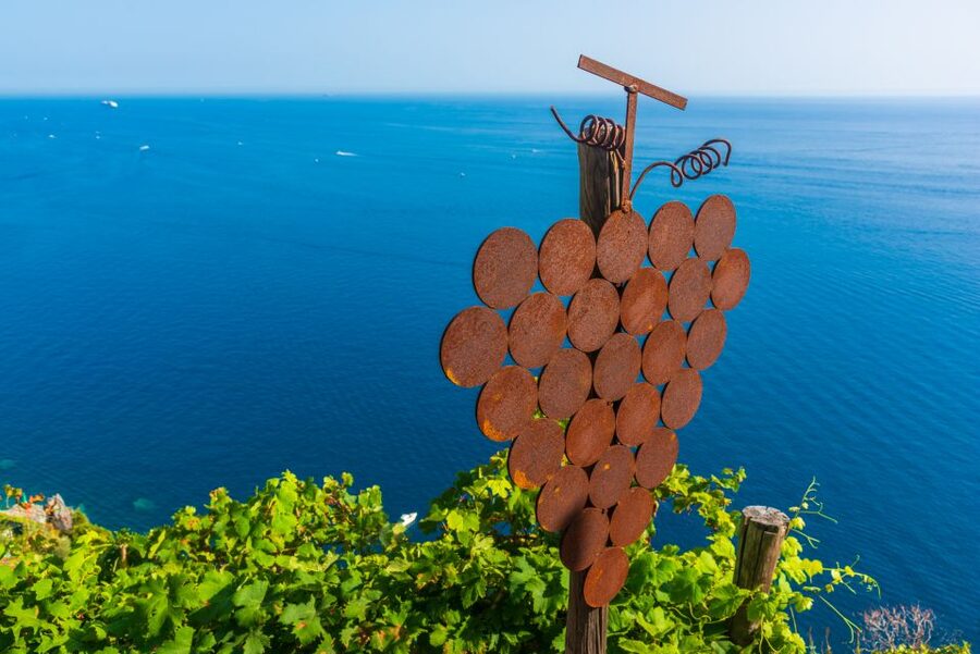 Riomaggiore: Vineyard & Wine Cellar Tour with Wine Tasting - Seeing how Cinque Terre wine is made