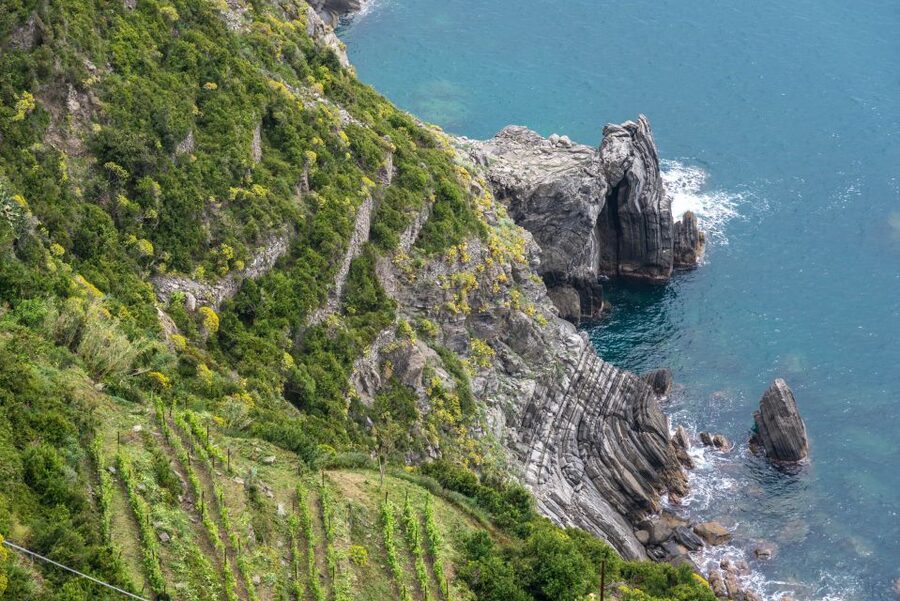 Riomaggiore: Vineyard & Wine Cellar Tour with Wine Tasting - Returning to a cellar in the village
