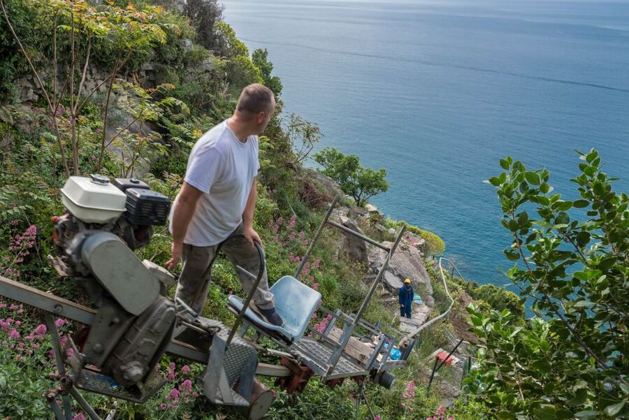 Riomaggiore: Vineyard & Wine Cellar Tour with Wine Tasting - Who will enjoy this Riomaggiore tour most