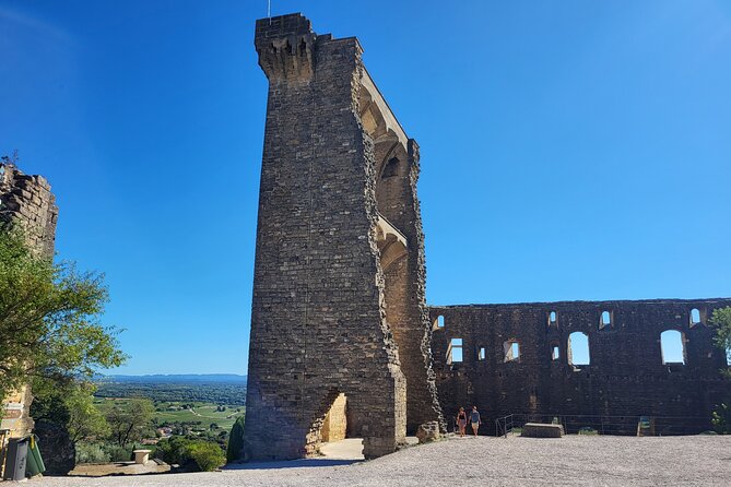 Roman Heritage & Wine Legacy - Châteauneuf-du-Pape, where the wine begins