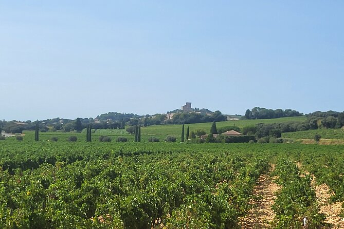Roman Heritage & Wine Legacy - The Pont du Gard in one hour
