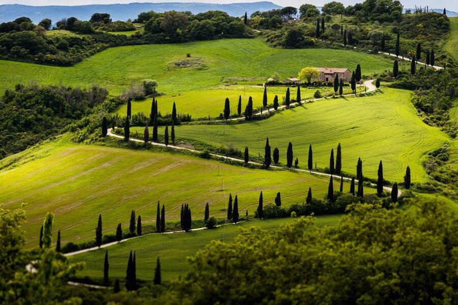 ROMANTIC WINE TOUR FOR 2 - Wine Tour in Chianti (Tuscany) - Who should book this Chianti day