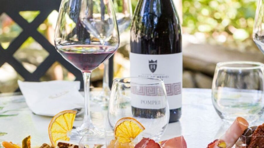 Rome: Pompeii Tour with Wine and Lunch by High Speed Train - Why good shoes and water matter
