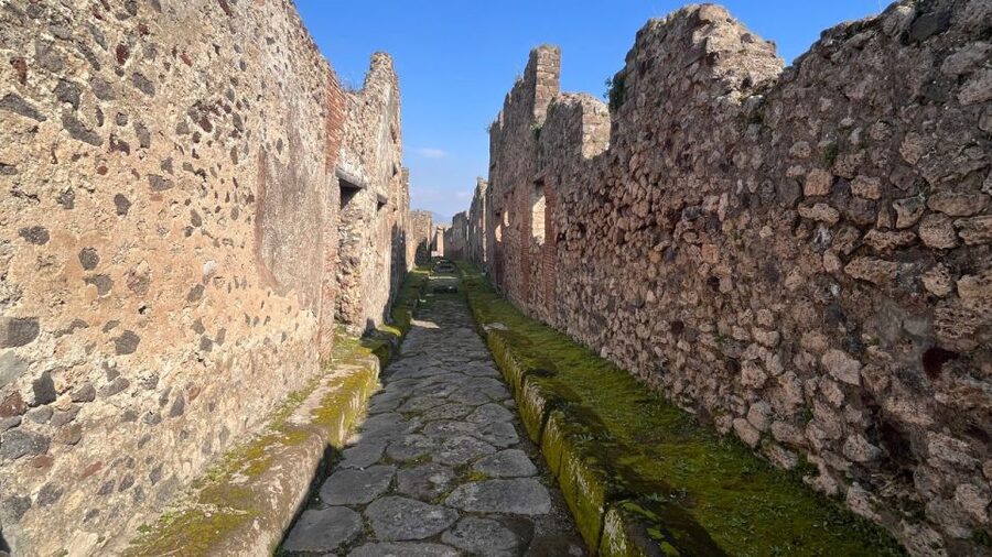 Rome: Pompeii Tour with Wine and Lunch by High Speed Train - Who will enjoy this Pompeii day trip