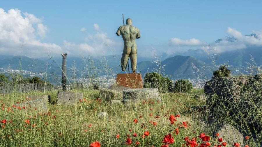 Rome: Pompeii Tour with Wine and Lunch by High Speed Train - Pompeii after the ash: what the 2.5-hour walk covers