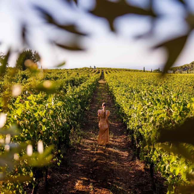 Rome: Private Castelli Romani Wine Tasting Tour - Key points to know before you book