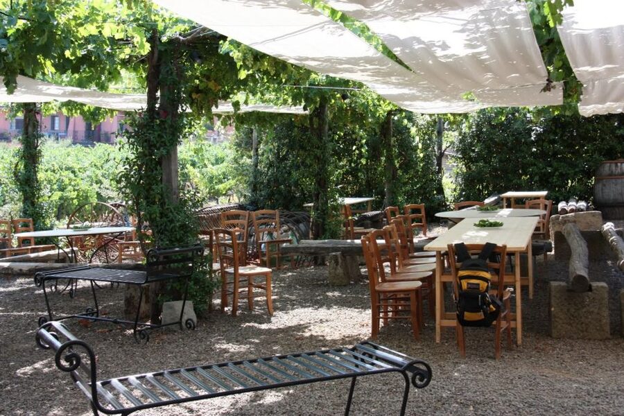 Rome: Private Castelli Romani Wine Tasting Tour - Is $99 a fair price?
