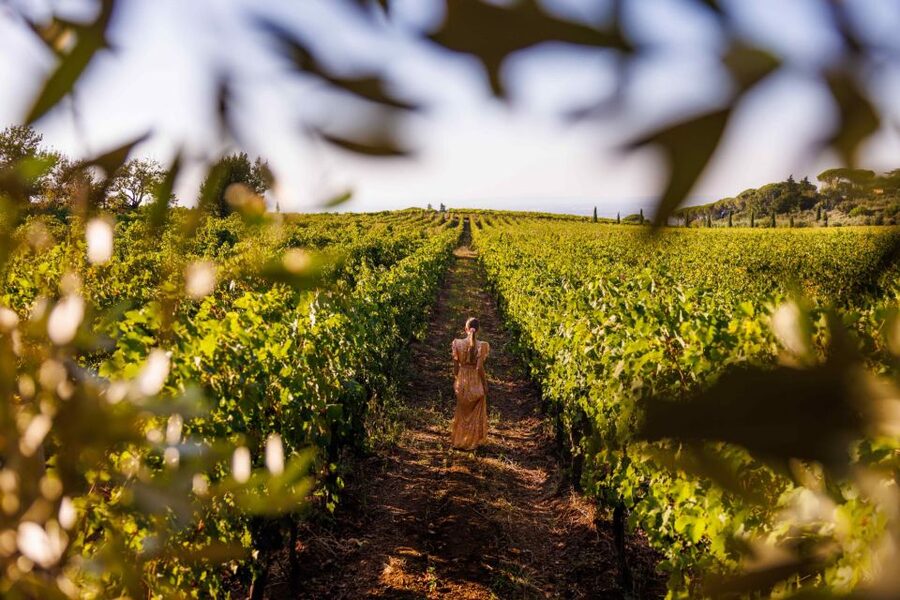 Rome: Private Countryside Wine Tasting Tour - Useful details before you go