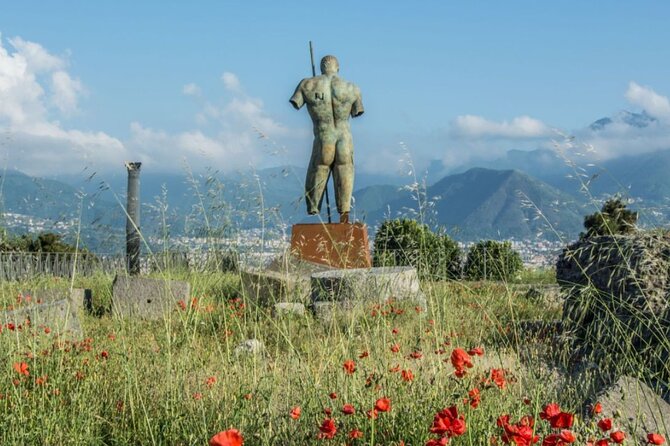 Rome to Pompeii Guided Tour with Wine & Lunch by High Speed Train - Who will enjoy this tour most