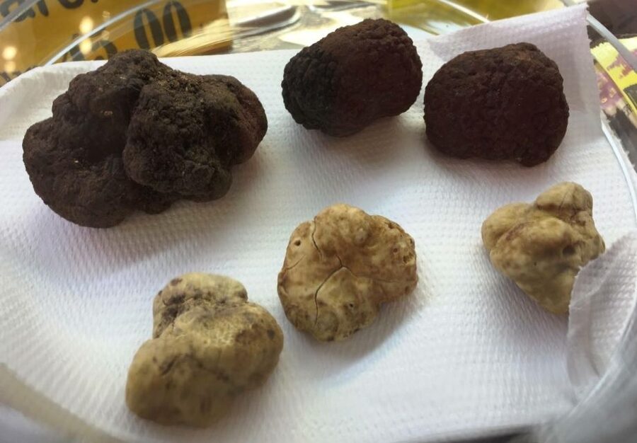 Rome: Trastevere Guided Food and Wine Tour with 20+ Tastings - Fresh pasta and pizza from a local restaurant