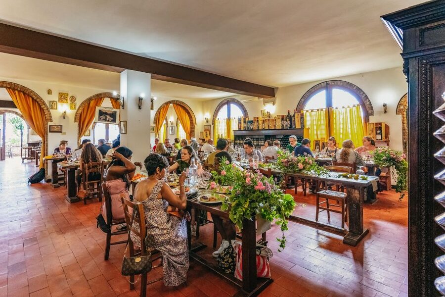 Rome: Tuscany & Montepulciano Day Trip with Lunch & Wines - Who should book this experience?