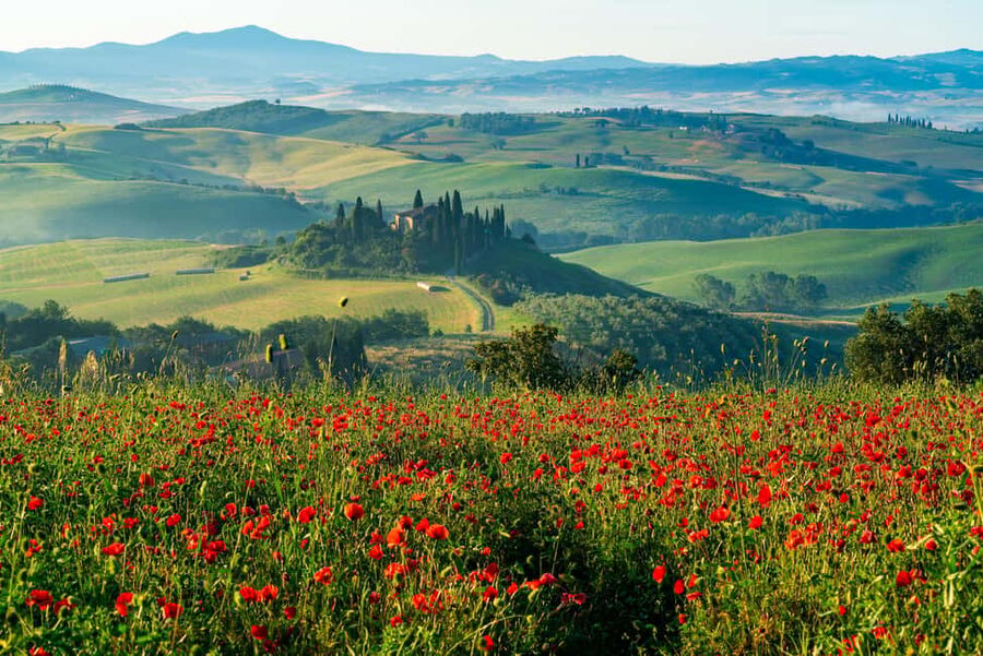 Rome: Tuscany & Montepulciano Day Trip with Lunch & Wines - Pienza and the search for Pecorino