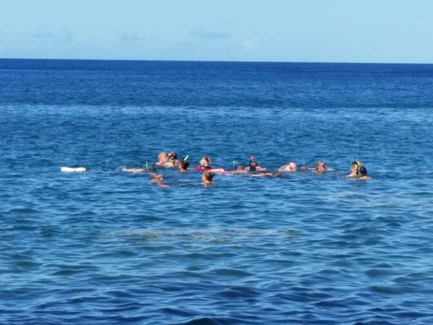 Roseau: Titou Gorge, Hot Spring, Falls & Champagne Reef Tour - Why this Roseau tour packs in so much