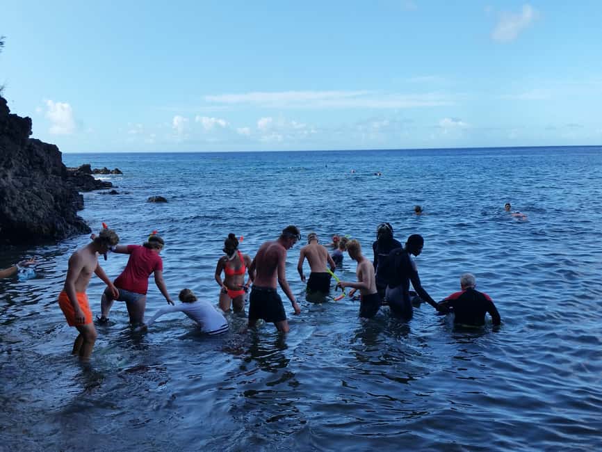 Roseau: Titou Gorge, Hot Spring, Falls & Champagne Reef Tour - Tia Hot Spa is the day’s best reset