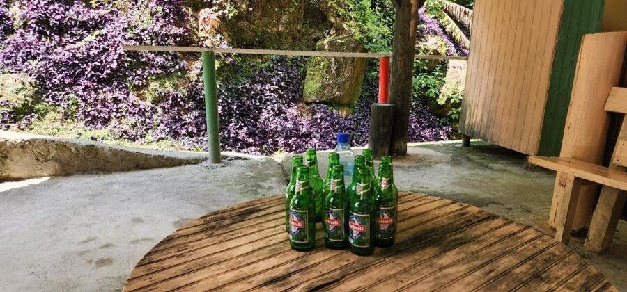 Roseau: Titou Gorge, Hot Spring, Falls & Champagne Reef Tour - Guides, music, and the feel of the bus