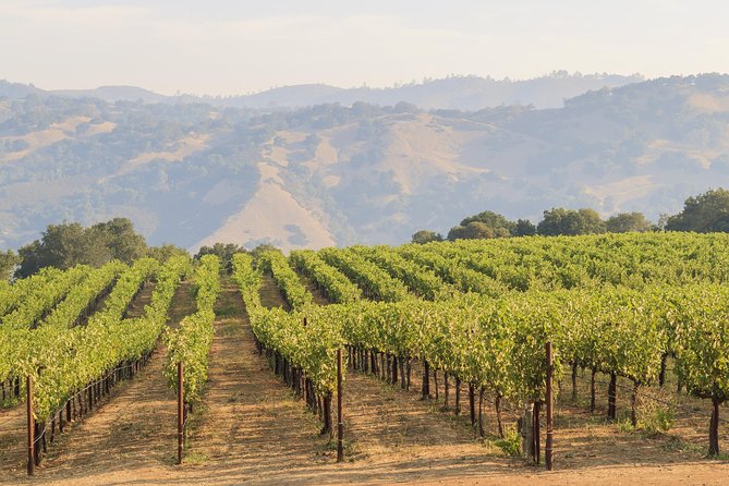 Russian River Weekend Wine Tasting & Gourmet Lunch - The return to San Francisco