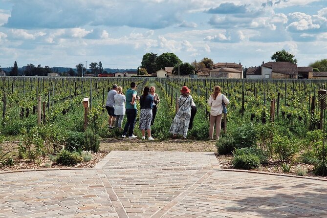 Saint-Emilion Afternoon Wine Tour - 2 Wineries & delicacies - Stop one: a Grand Cru château and the making of Bordeaux wine