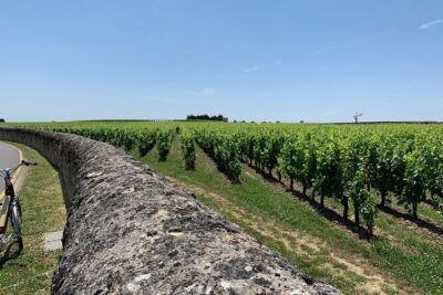 Saint-Emilion Afternoon Wine Tour – 2 Wineries & delicacies