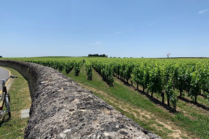 Saint-Emilion Afternoon Wine Tour - 2 Wineries & delicacies - Stop two: Saint-Émilion’s lanes, views, and tight schedule
