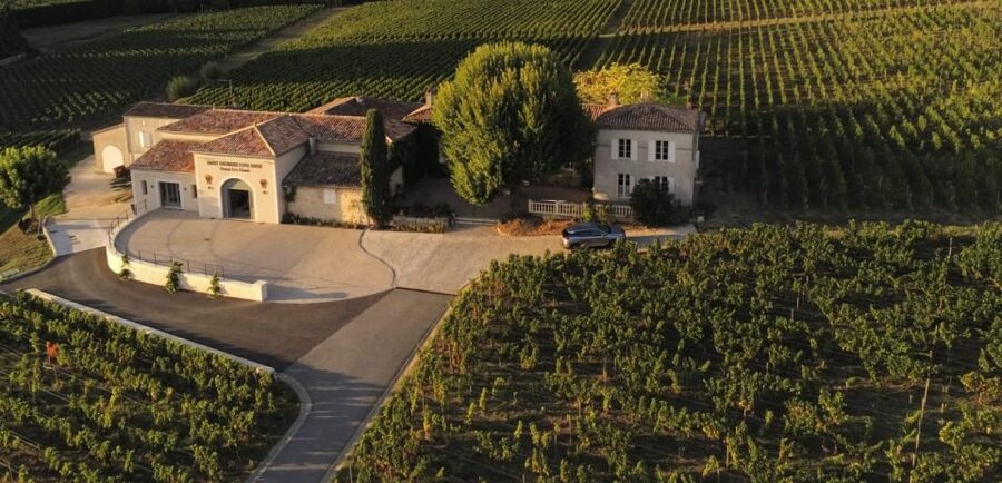 Saint-Émilion: Bordeaux Vineyard Tour and Wine Tasting - Building it into a Saint-Émilion day