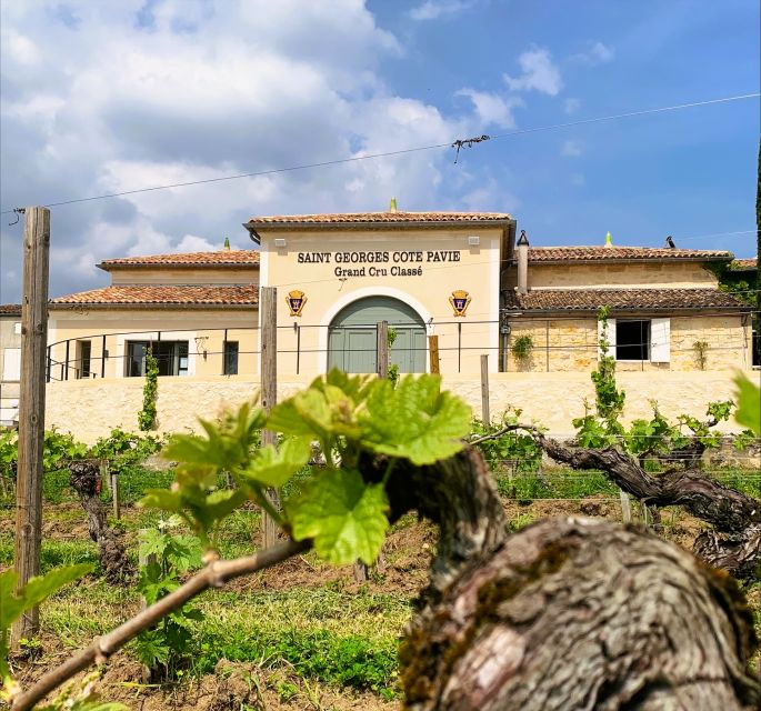 Saint-Émilion: Bordeaux Vineyard Tour and Wine Tasting - Who will get the most from this visit