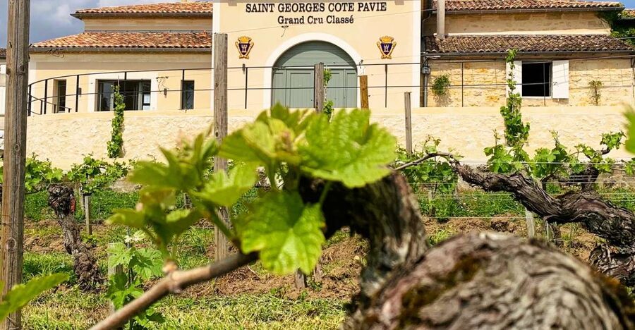 Saint-Émilion: Bordeaux Vineyard Tour and Wine Tasting - Practical details before you book