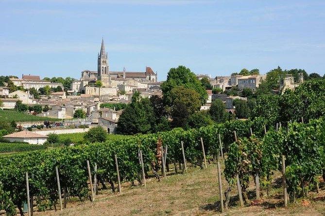 Saint-Émilion day tour: village visit, Châteaux and lunch - The first château and the picnic lunch