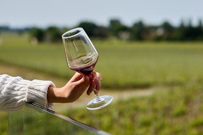 Saint-Émilion day tour: village visit, Châteaux and lunch - Two more estates and a broader look at Bordeaux wine
