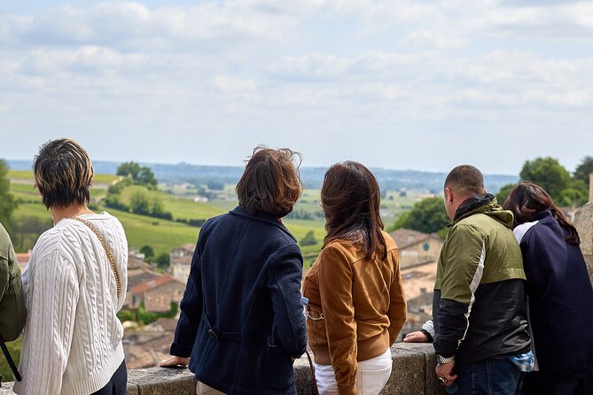 Saint-Émilion day tour: village visit, Châteaux and lunch - The ride from Bordeaux through the vineyards