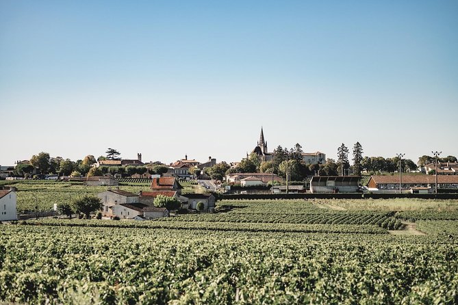Saint-Emilion Electric Bike Day Tour with Wine Tastings & Lunch - Walking Saint-Émilion after the bike ride