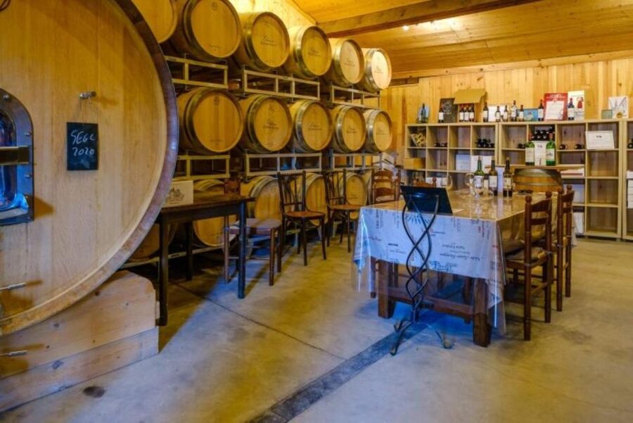 Saint-Émilion: Family Vineyard Visit with Wine Tasting - The barrel cellar brings in tradition and atmosphere