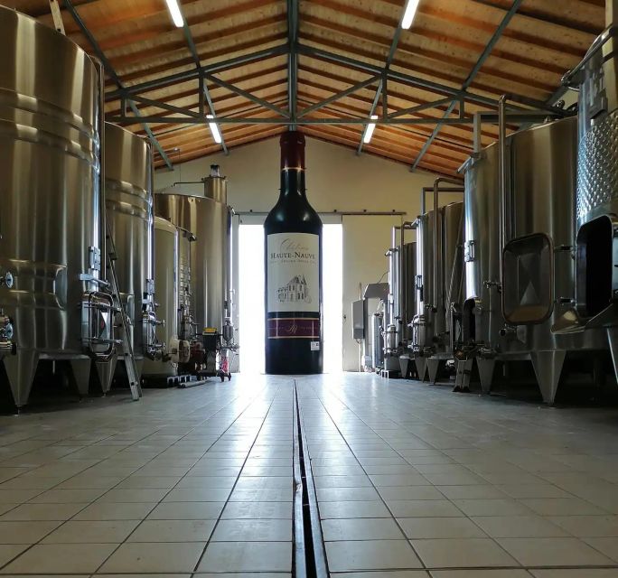 Saint-Émilion: Family Vineyard Visit with Wine Tasting - Practical details before you book