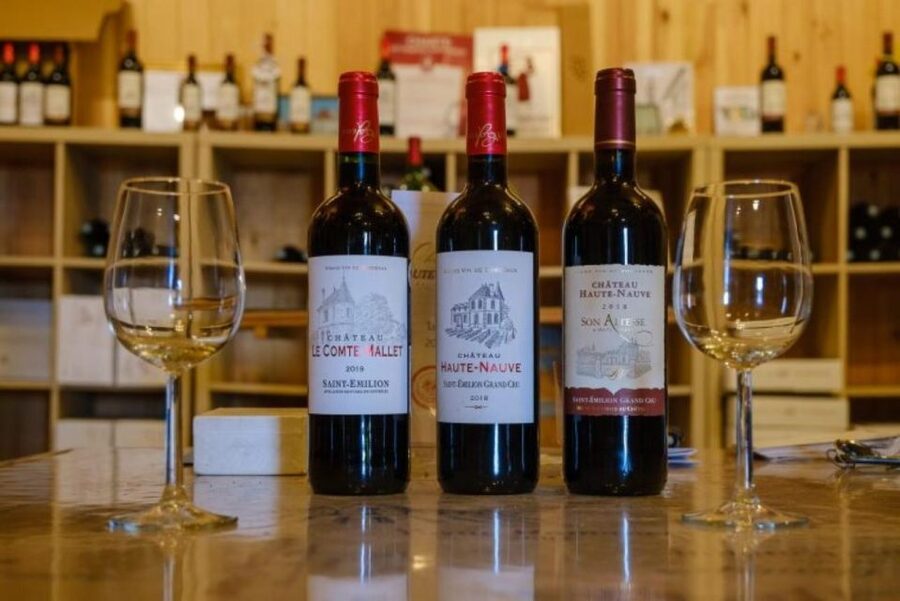 Saint-Émilion: Family Vineyard Visit with Wine Tasting - From the Saint-Émilion vines to the family story