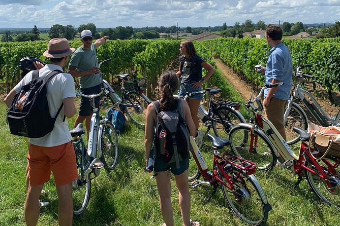 Saint Emilion Full Day Wine and Bike Tour - What the guides add to the day