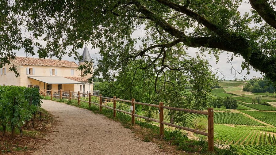 Saint-Emilion: Grand Cru Classé Guided Winery Visit & Picnic - Two Saint-Émilion estates in one compact visit