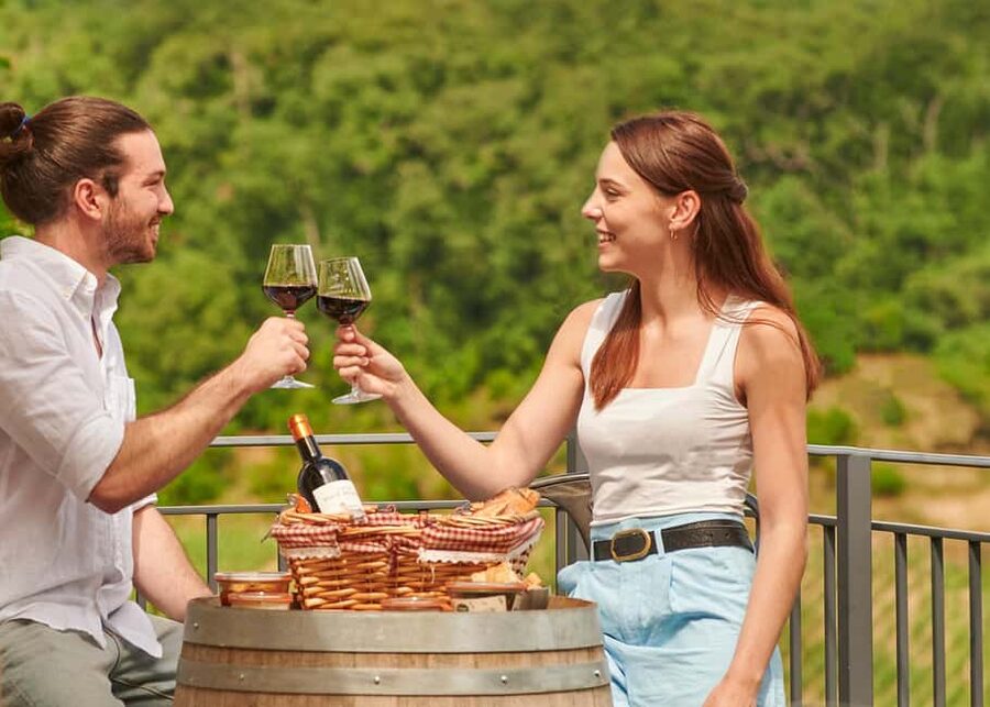 Saint-Emilion: Grand Cru Classé Guided Winery Visit & Picnic - Tour Baladoz and the traditional side of Bordeaux