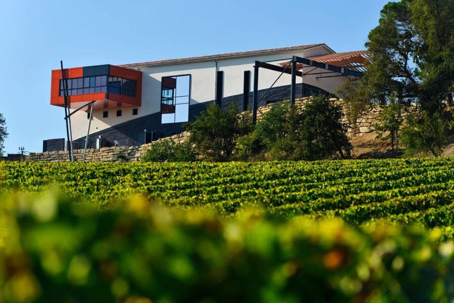 Saint-Émilion: Grand Cru Classé Winery Visit and Tasting - Value, timing, and the small drawbacks
